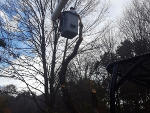 465400273_8718929988130122_8672258826210175356_n