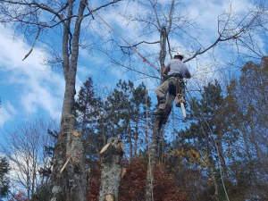 465411643_8721508491205605_7448364165108511881_n