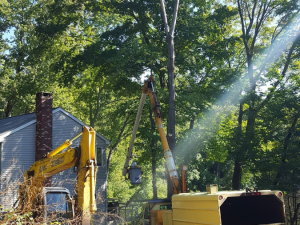 465414637_8717594548263666_617593786194715674_n