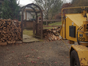 465419480_8721493211207133_4280890230355718093_n