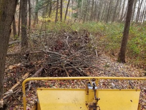 465537175_8748027255220395_8817783243217594055_n