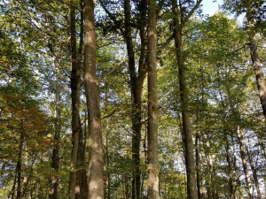 465570905_8744111658945288_978021943211392896_n