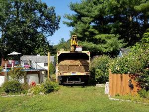 465644997_8742256592464128_8104393436028833786_n