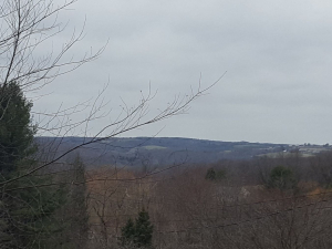 465663802_8730729333616854_1891018911442443695_n