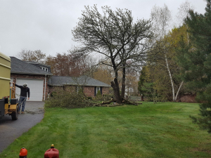 465669160_8731671450189309_6535608561568394682_n