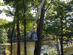 465671176_8743062505716870_5652007466228248217_n