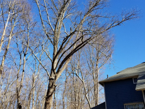 465706125_8752478838108570_7660365163573478894_n