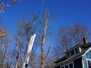 465706205_8754691797887274_6483837026903322312_n