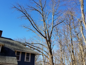 465708935_8752478848108569_722242758851883509_n