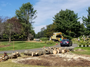 465709991_8743150962374691_6923398615967682454_n