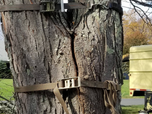 465712575_8745646922125095_7849236513704409764_n