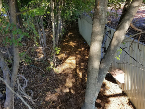 465712890_8745004112189376_2148768532594619862_n