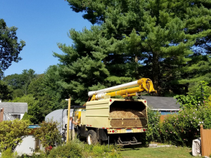 465723372_8742256585797462_5948208182693722037_n