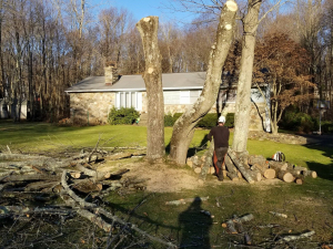 465729762_8748550991834688_9067423707758485539_n