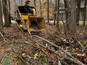 465730517_8748027261887061_5964517595222070507_n