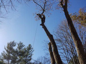 465783291_8749092115113909_599025624894698184_n