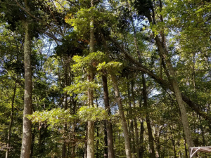 465795999_8744111655611955_1348462634829865893_n