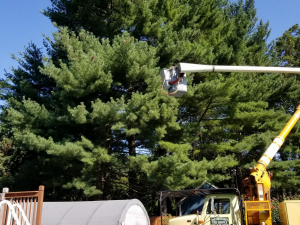 465796974_8742718675751253_8439524167382380314_n