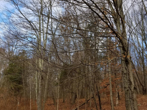 465815292_8749282218428232_6360575152321664892_n