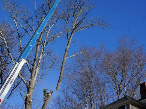 465819306_8754692007887253_6808688959820920418_n