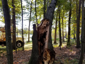 465843941_8744111665611954_2582739149715248209_n