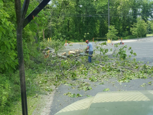 465913343_8735988829757571_3313751128777408504_n