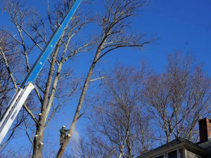 465913369_8754692004553920_65691962660686893_n