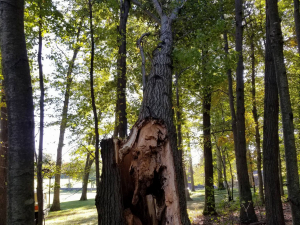 465932385_8756161321073655_4513519208748274437_n