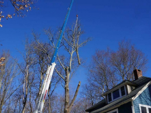 465951741_8754691781220609_9022625873139276811_n