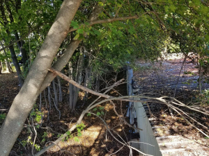 465970742_8745003892189398_1787503009404806137_n