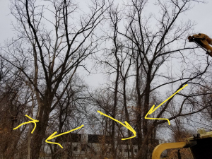 466022892_8749409491748838_137712037283744798_n