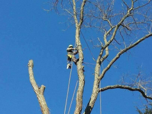 471667981_9053322838024167_2169360486478293737_n