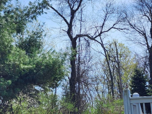 480702964_1627538718115814_6779537423601200874_n