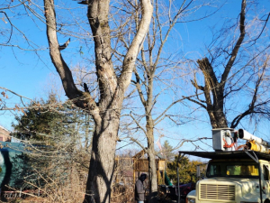 481071996_1619263755609977_4512666046264891979_n