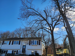 481476498_1620976372105382_8990087450648525289_n