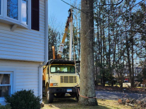 481504313_1620976695438683_5273627970706351388_n