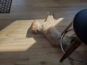 481667563_9427470960609351_7464418227386260585_n