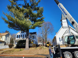 481771160_1622391025297250_6790648884547493383_n