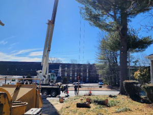 481904609_1622391418630544_7061617013464984712_n