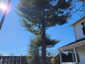 481956136_1622391061963913_3741506498791856740_n