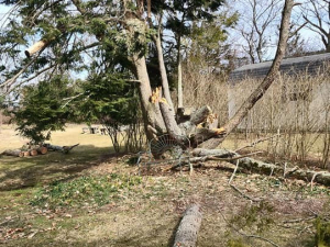 481981864_1624345321768487_2230425786235504010_n