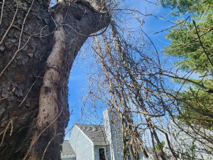 482031172_1627538711449148_6543830086498922238_n