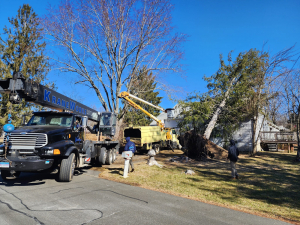 482239267_1622390331963986_4552518262162602511_n