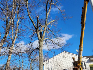 482808437_1620976562105363_4398227261795073273_n