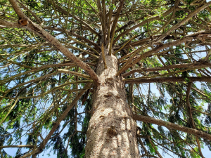 483103416_9488741454482301_3158165697947068524_n