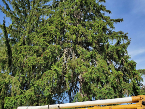 483106000_9488741457815634_2435146318103446927_n