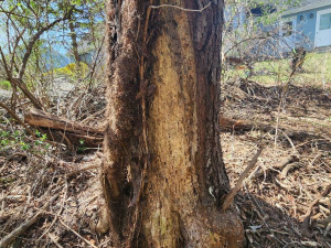 484008434_1627538838115802_480392806904985849_n