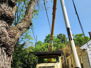 484170354_1629534464582906_4874972595040365838_n