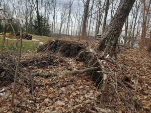 484544031_9479711942051919_8541311787321111934_n