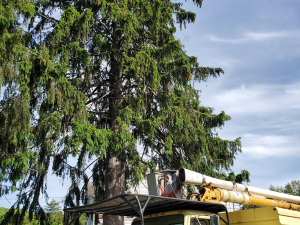 484800714_9488741451148968_8568532896756571385_n